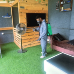 blog_fumigation