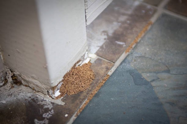 pest_fumigation